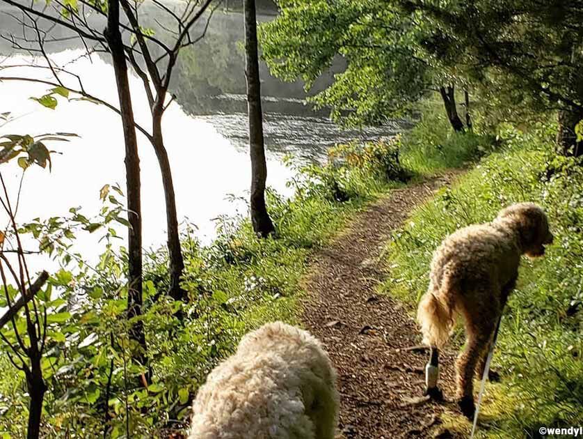 Picture of Hiking