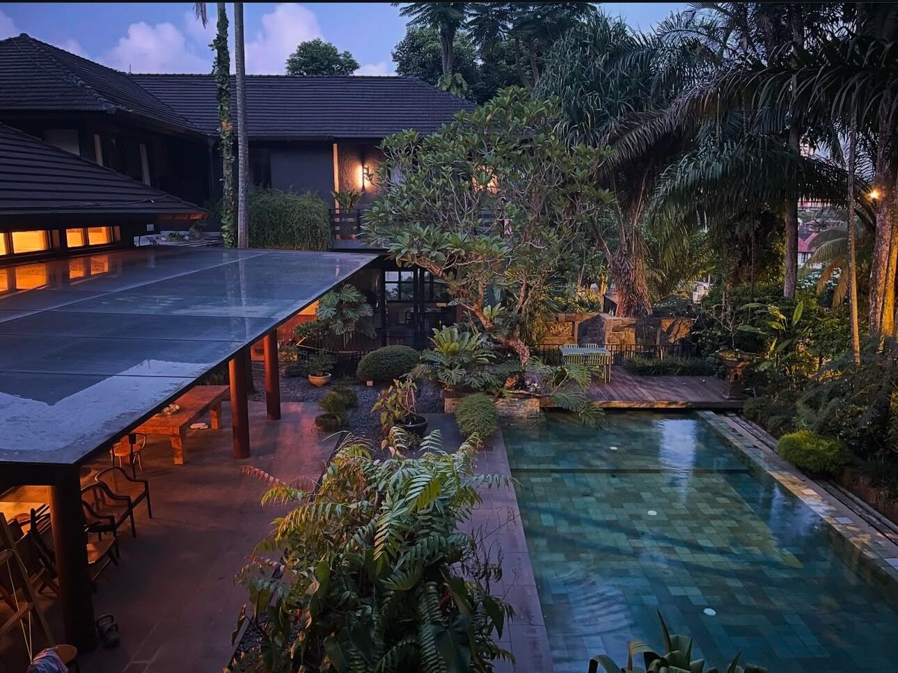 Picture of Fork In The Jungle