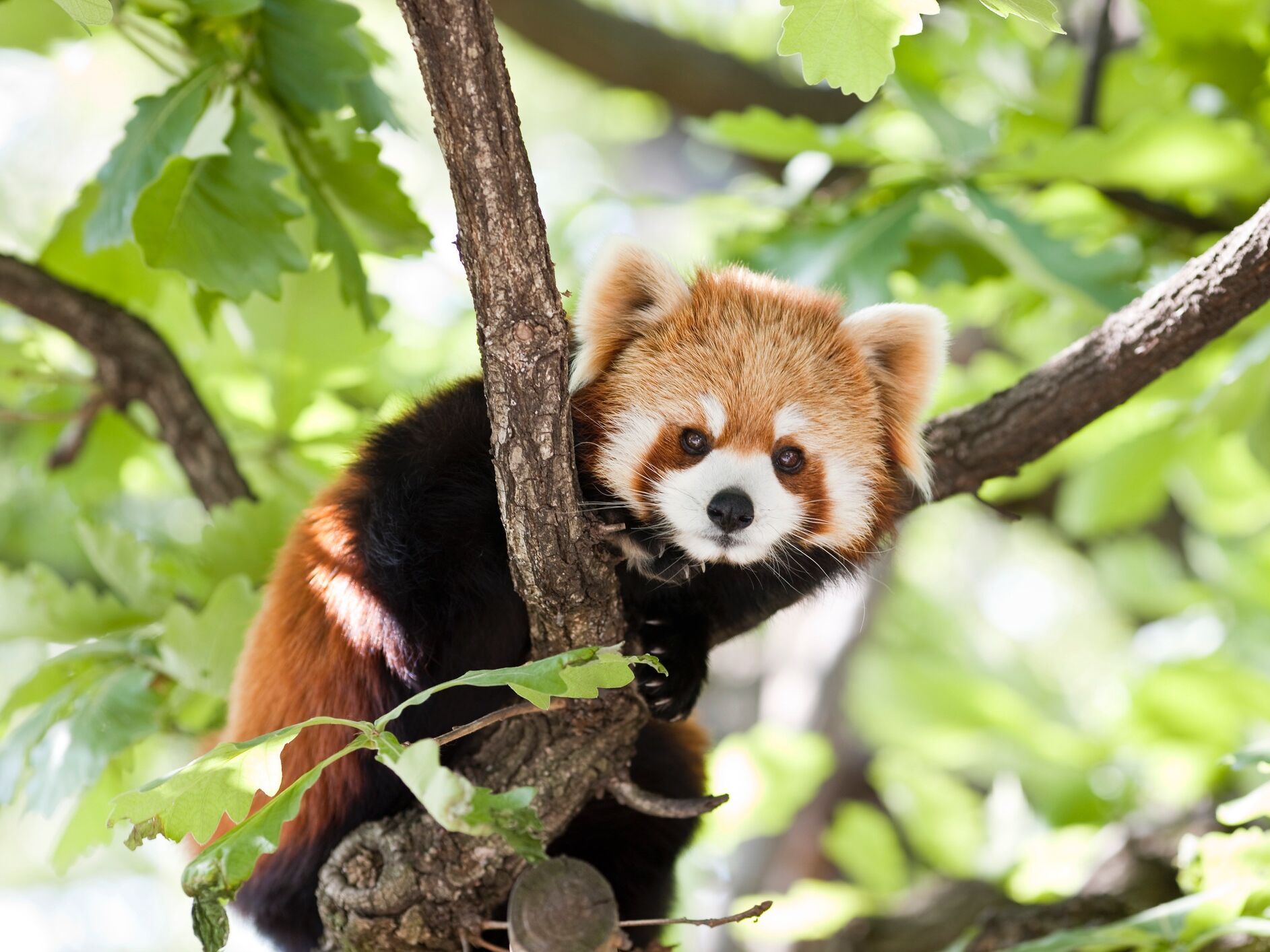 Picture of Tulsa Zoo
