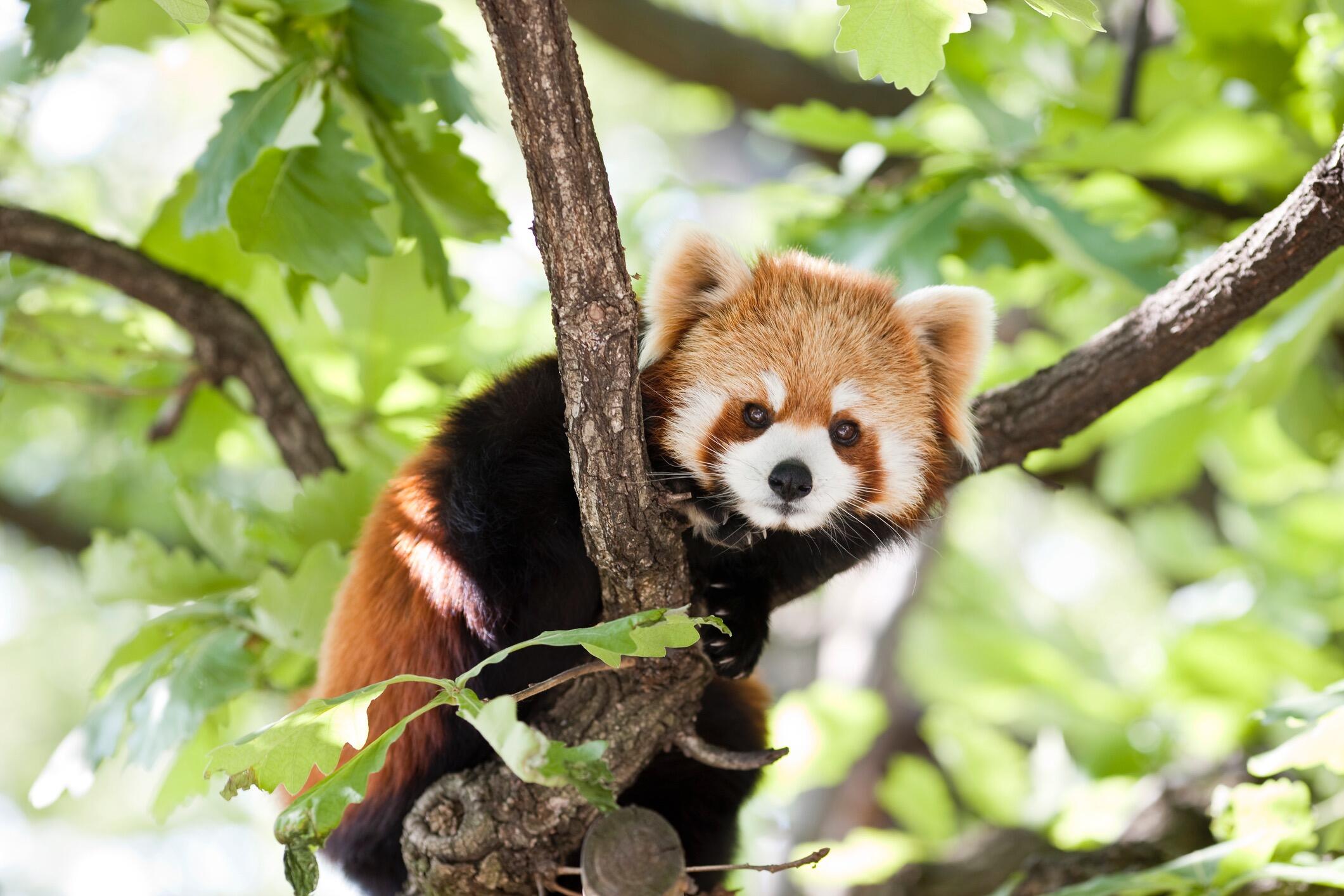 Picture of Tulsa Zoo