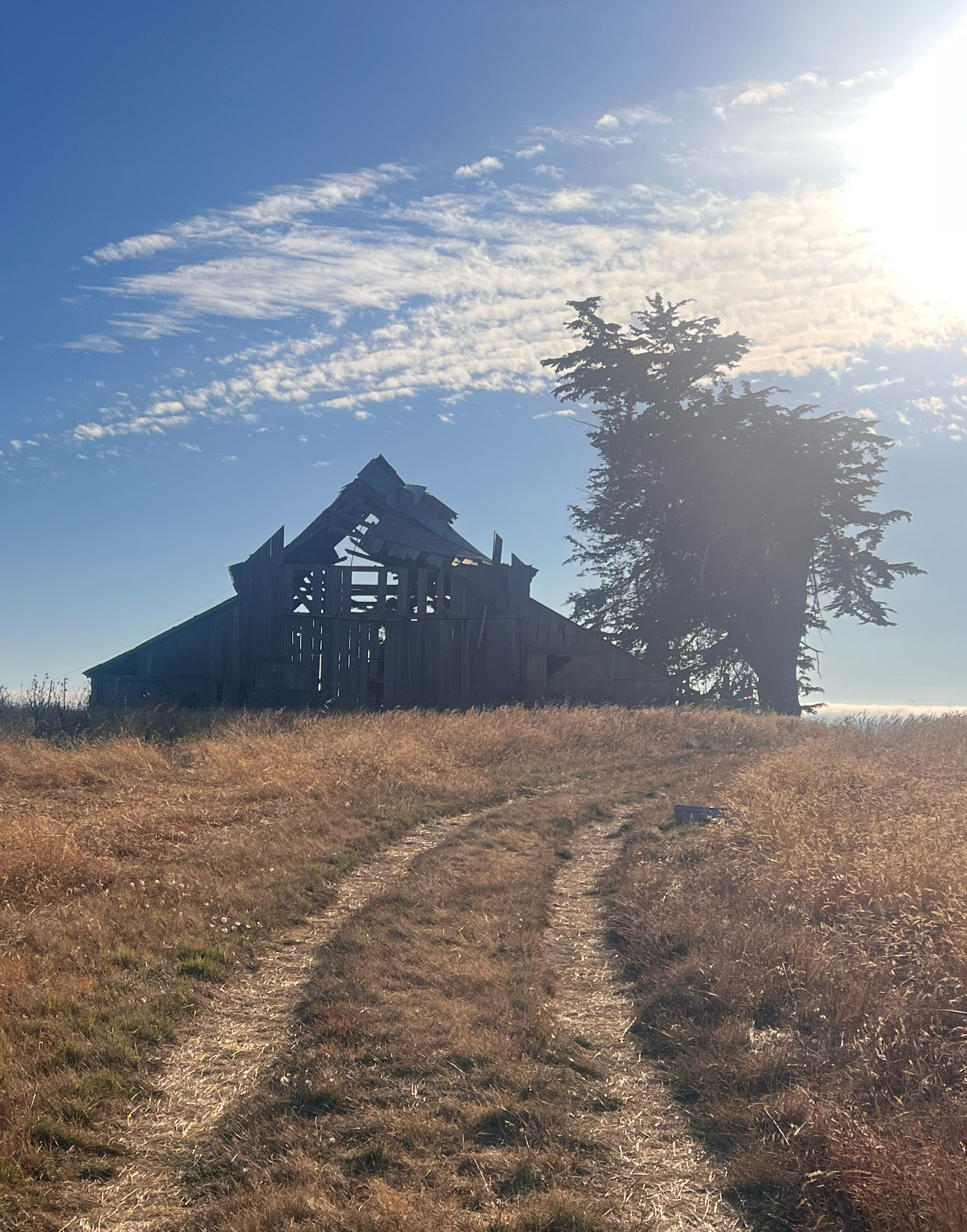 Picture of Sprin Ranch Trail