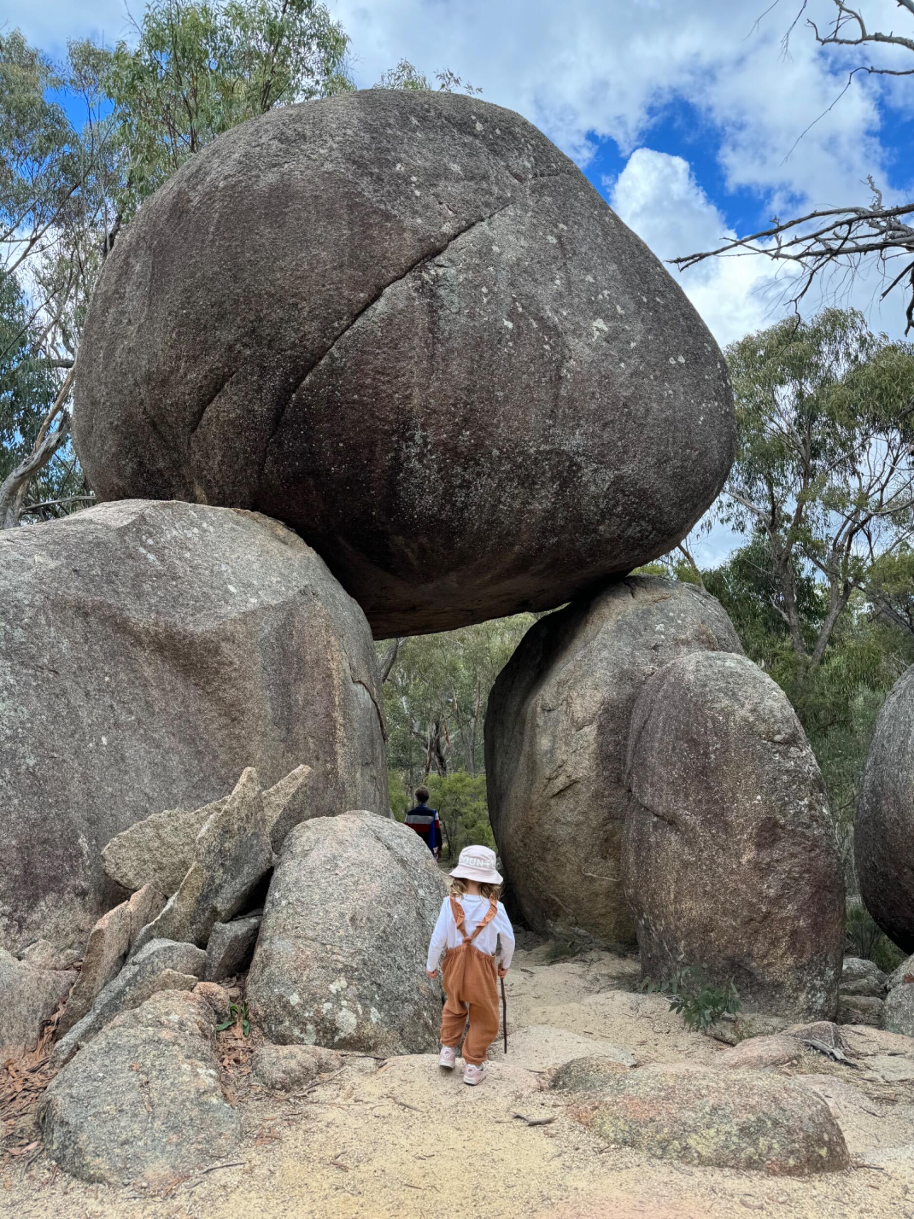 Picture of Girraween National Park