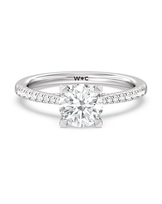With Clarity Elegant Princess, Cushion, Emerald, Radiant, Round, Oval Cut Engagement Ring - 1