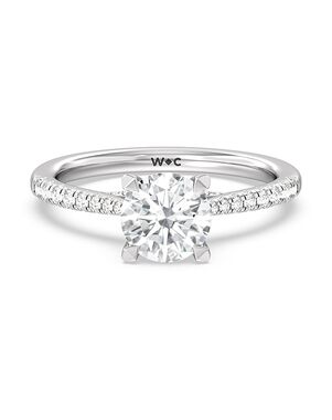 With Clarity Elegant Princess, Cushion, Emerald, Radiant, Round, Oval Cut Engagement Ring