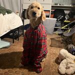 Howie