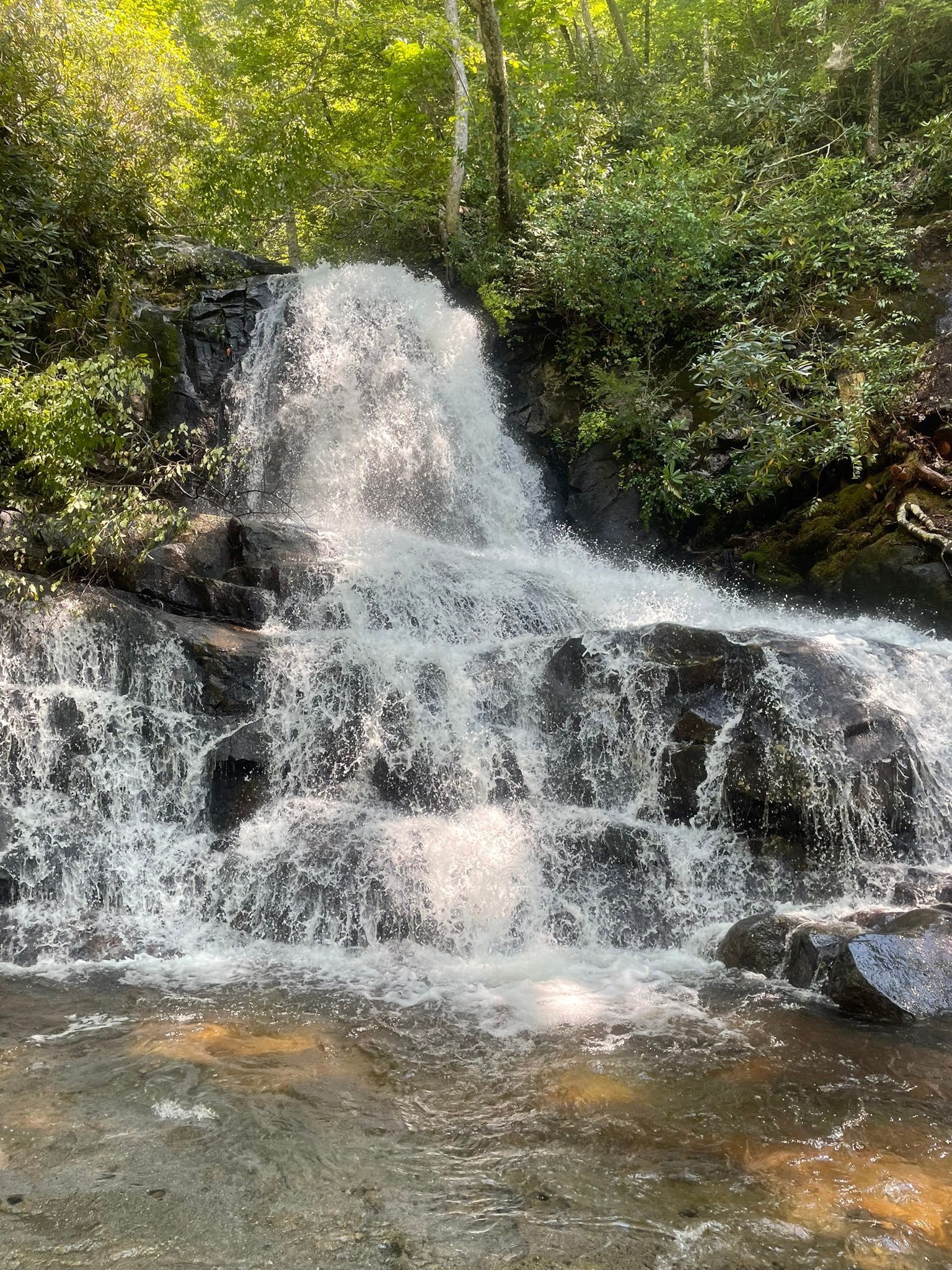 Picture of Laurel Falls Trailhead