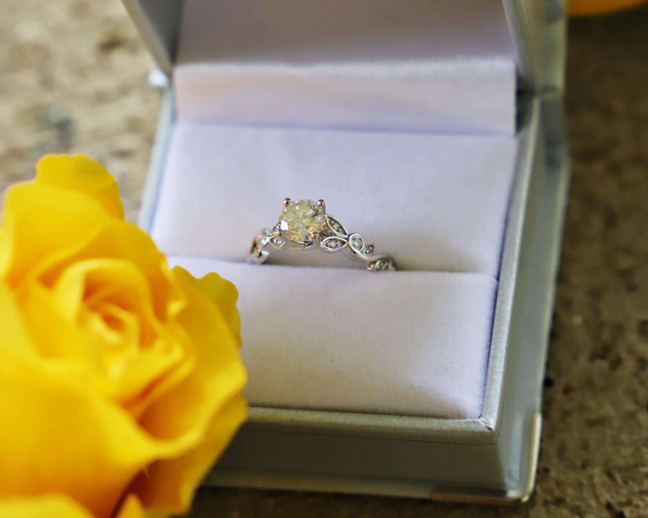 Picture of Engaged!
