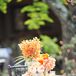 Modern Orange Cylinder Centerpieces