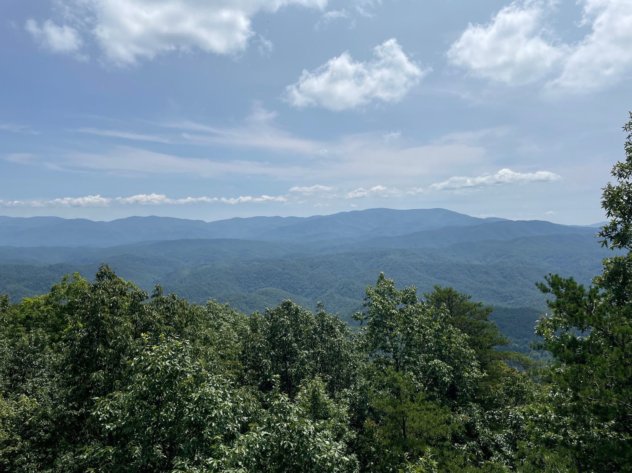 Picture of Look Rock Tower Trail