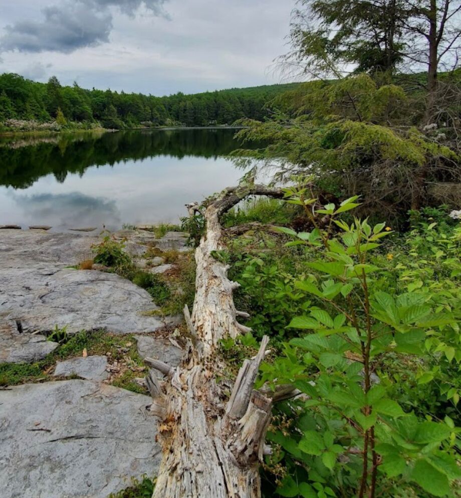 Picture of Buttermilk Falls