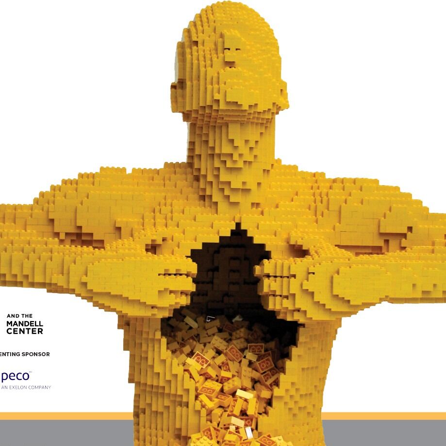 Picture of The Art of the Brick