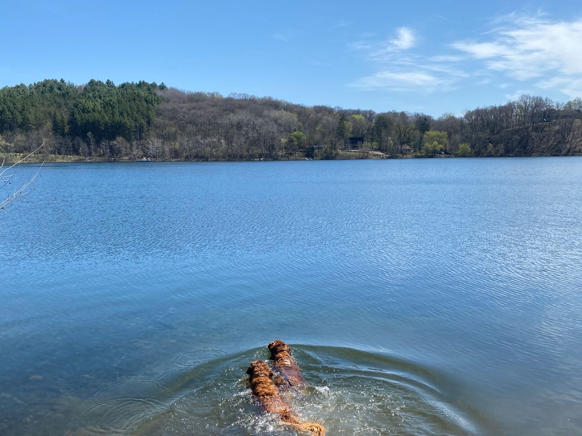 Picture of Homestead Parklands County Park