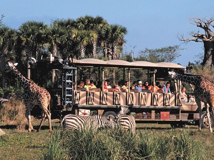 Picture of Disney's Animal Kingdom Theme Park