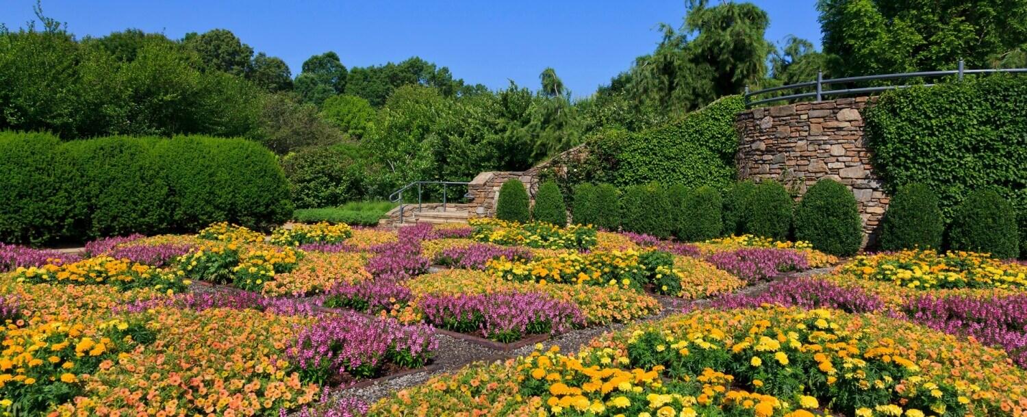 Picture of North Carolina arboretum