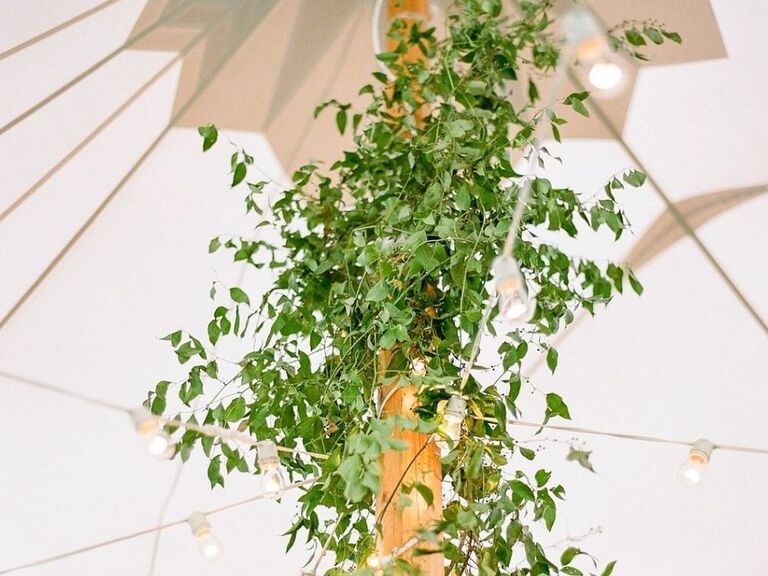 smilax covering tent pole