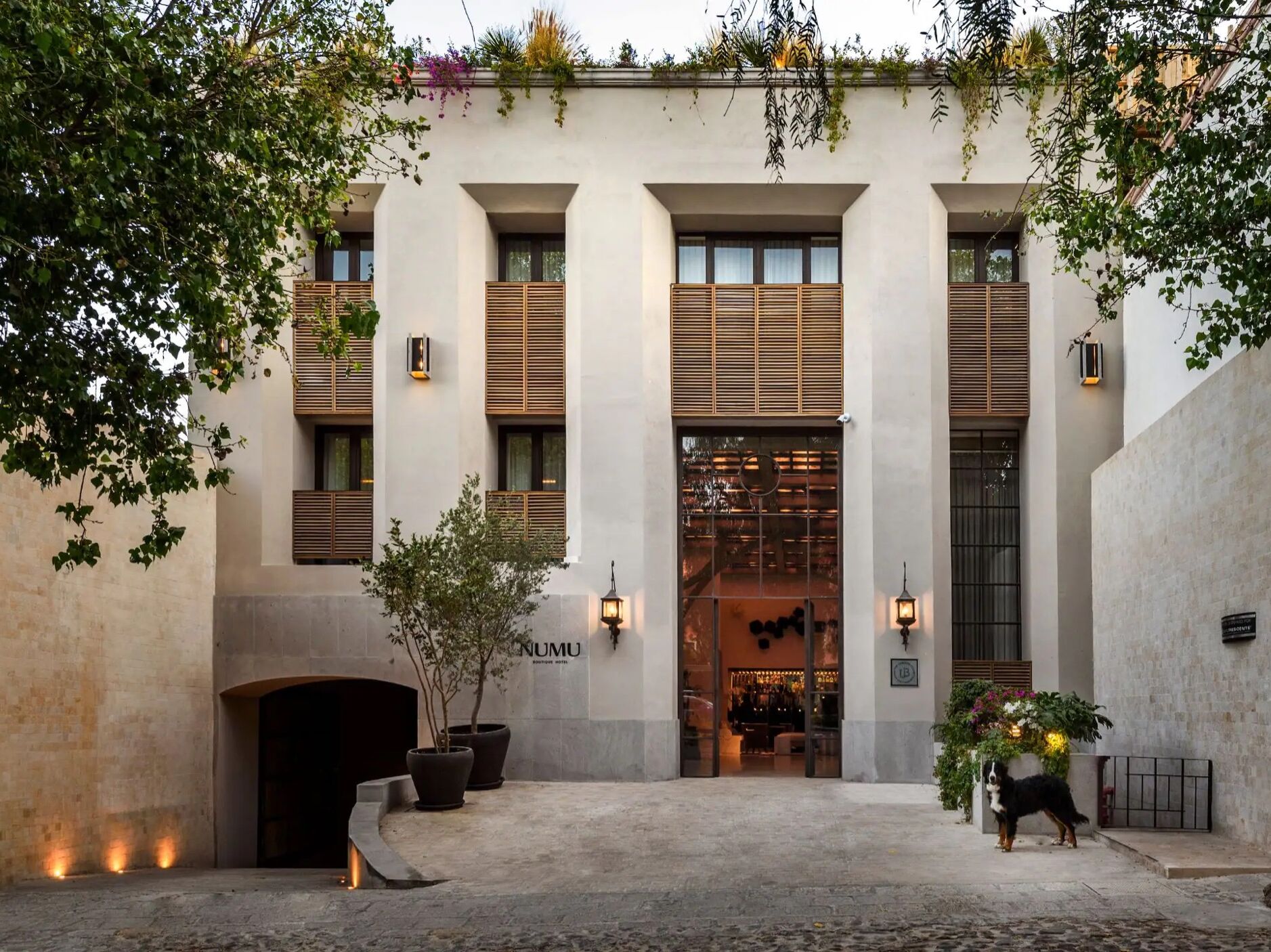 Picture of Numu Boutique Hotel - In The Unbound Collection By Hyatt