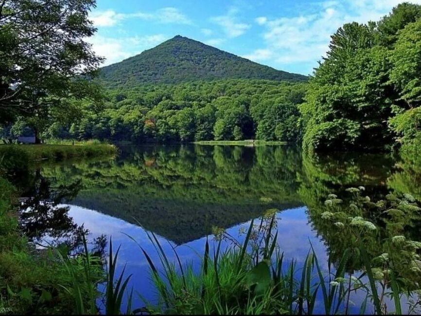 Picture of Peaks of Otter Visitor Center