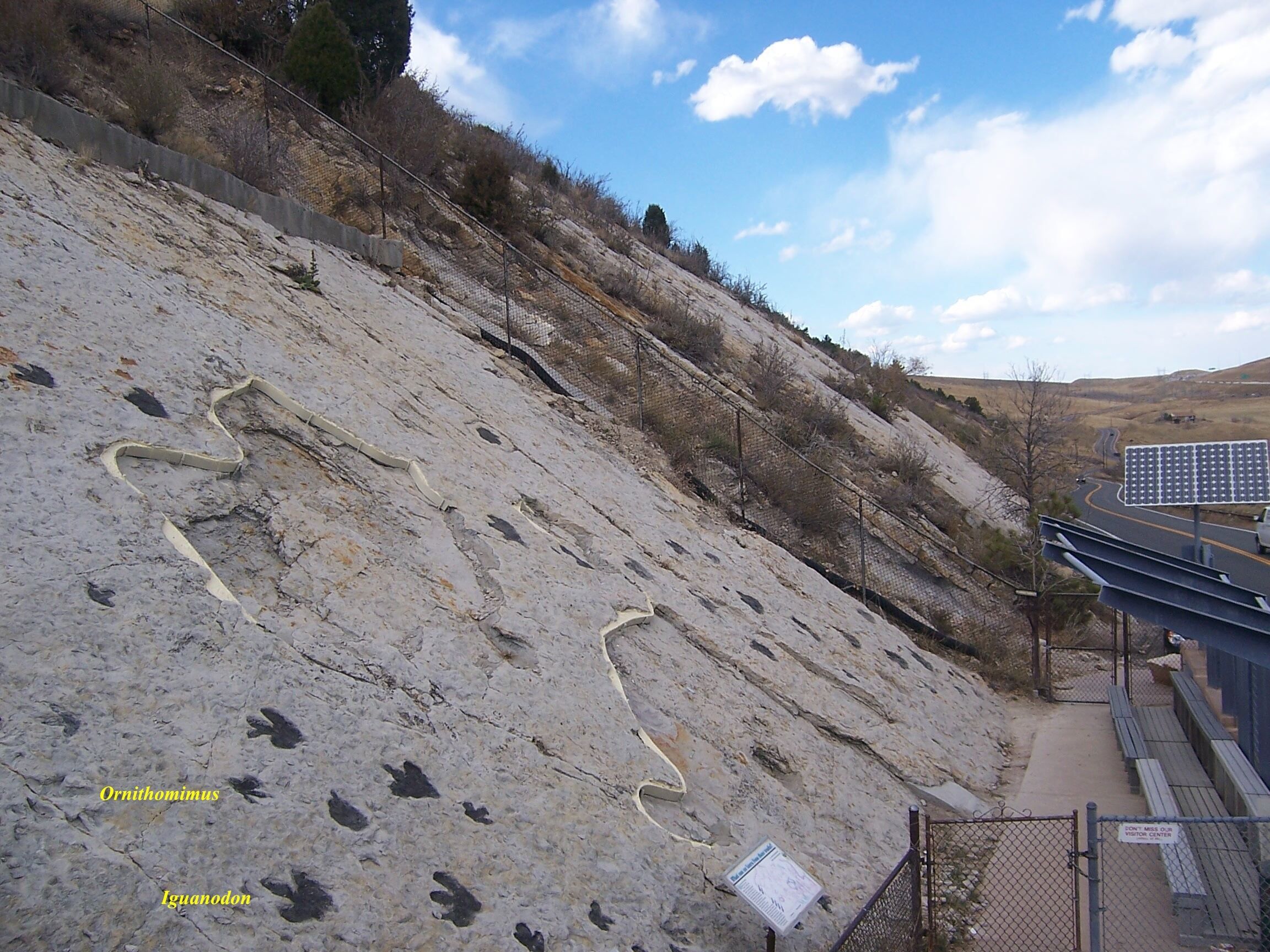Picture of Dinosaur Ridge Main Visitor Center