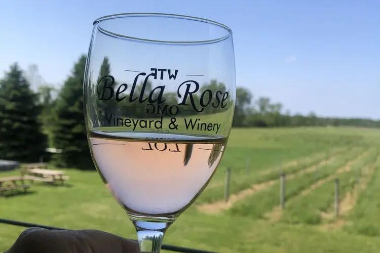 Picture of Wine Time