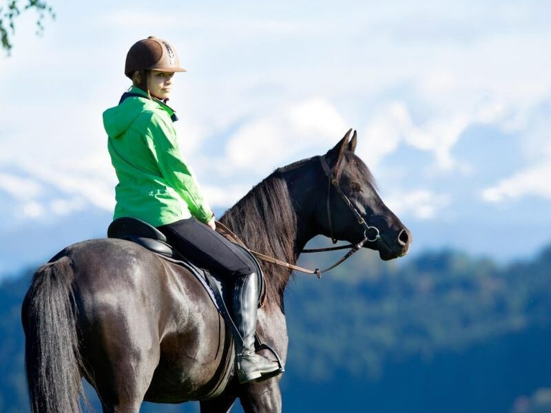 Picture of Yosemite Trails Horseback Adventures