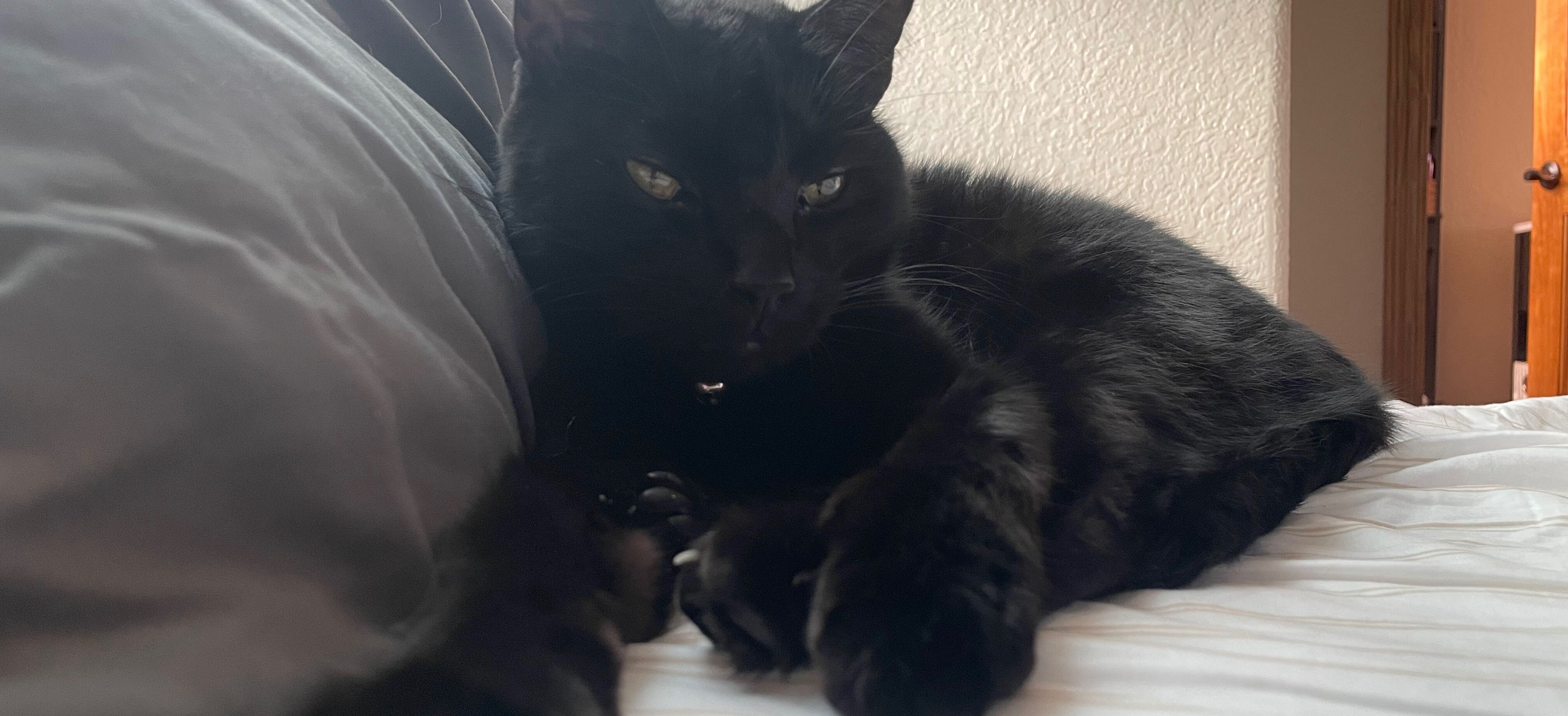 Picture of Jetson Eugene “Jetty”