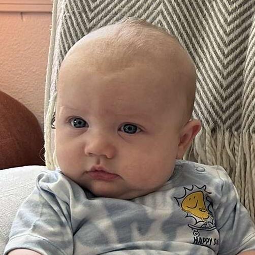 Titus Robin
