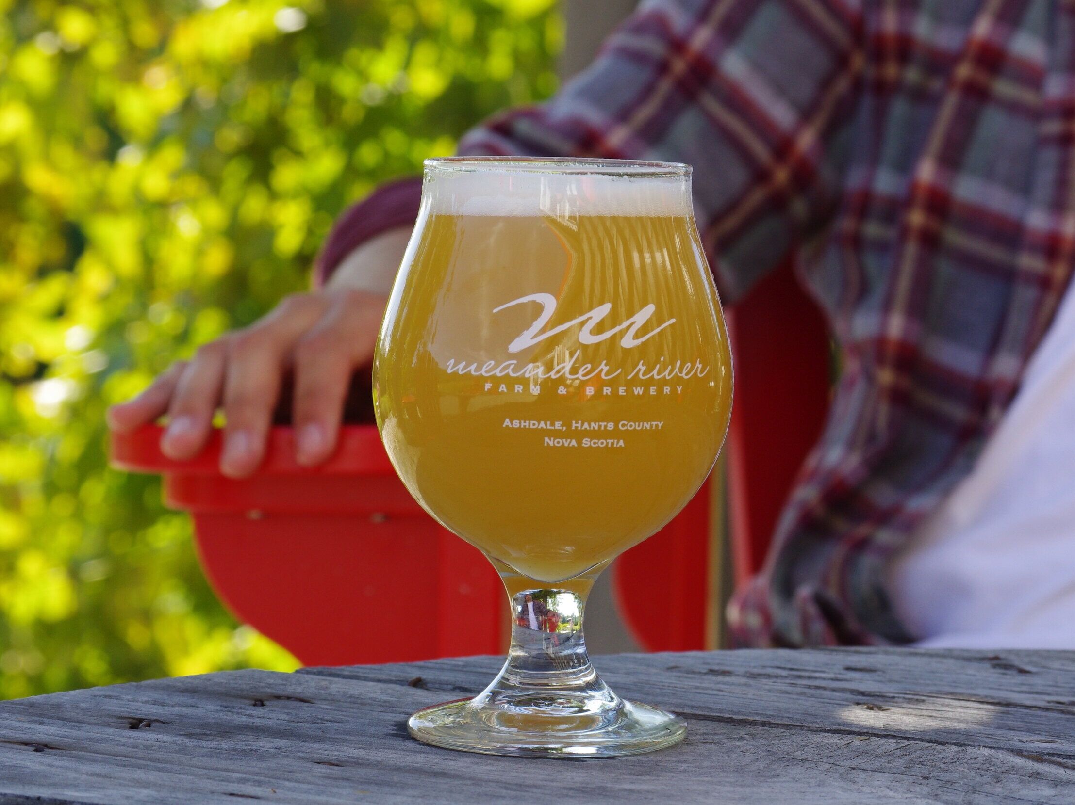Picture of Meander River Brewery 