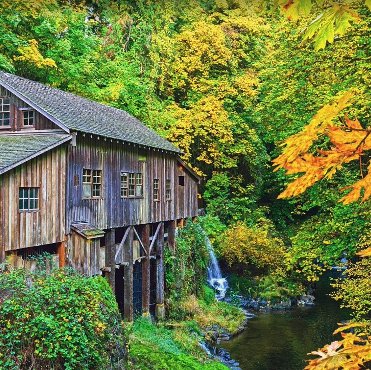 Picture of Cedar Creek Grist Mill
