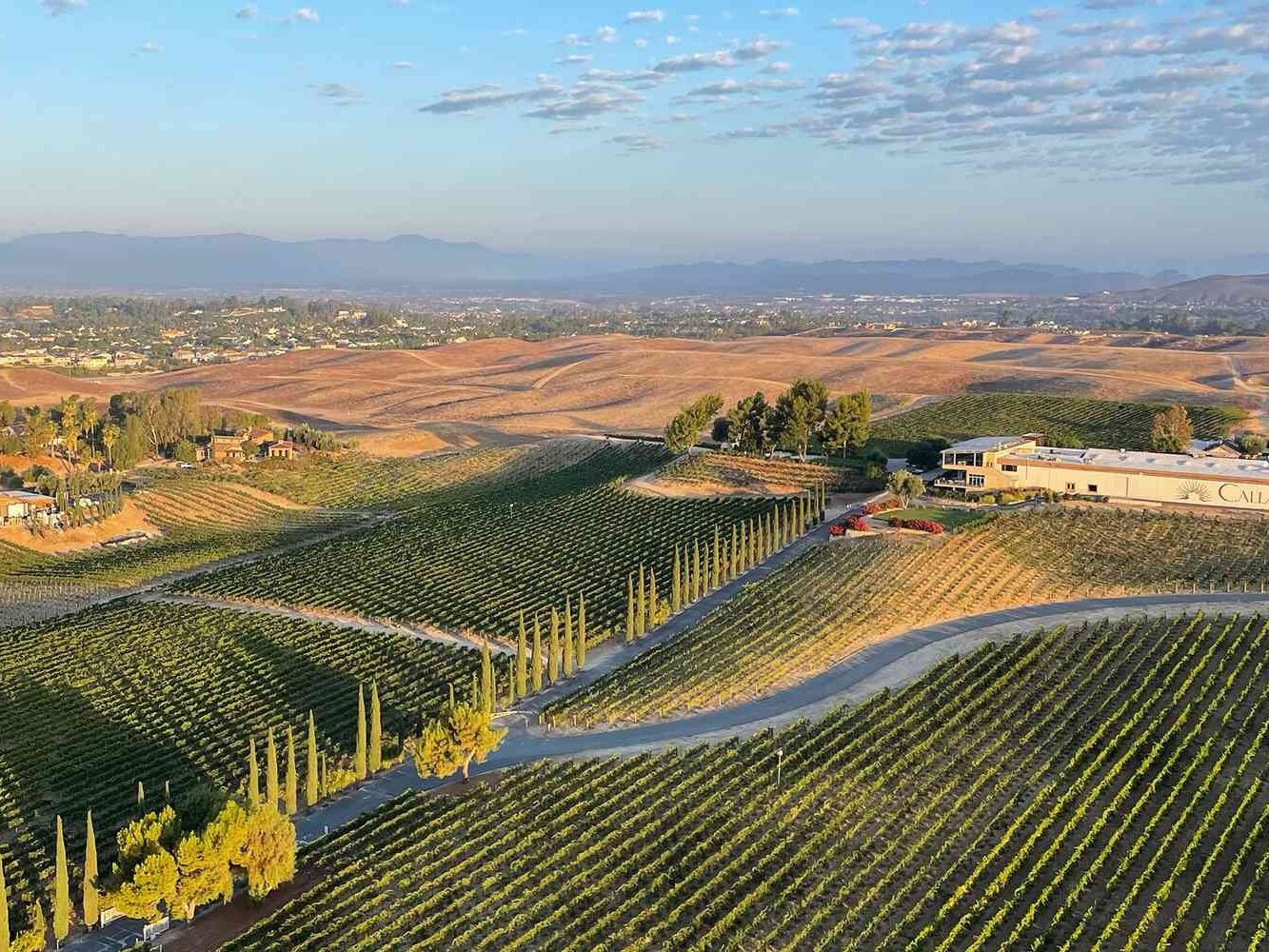 Picture of Temecula Wineries