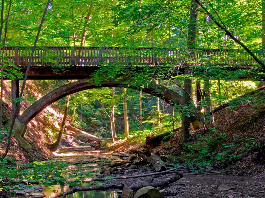 Picture of Highbanks Metro Park