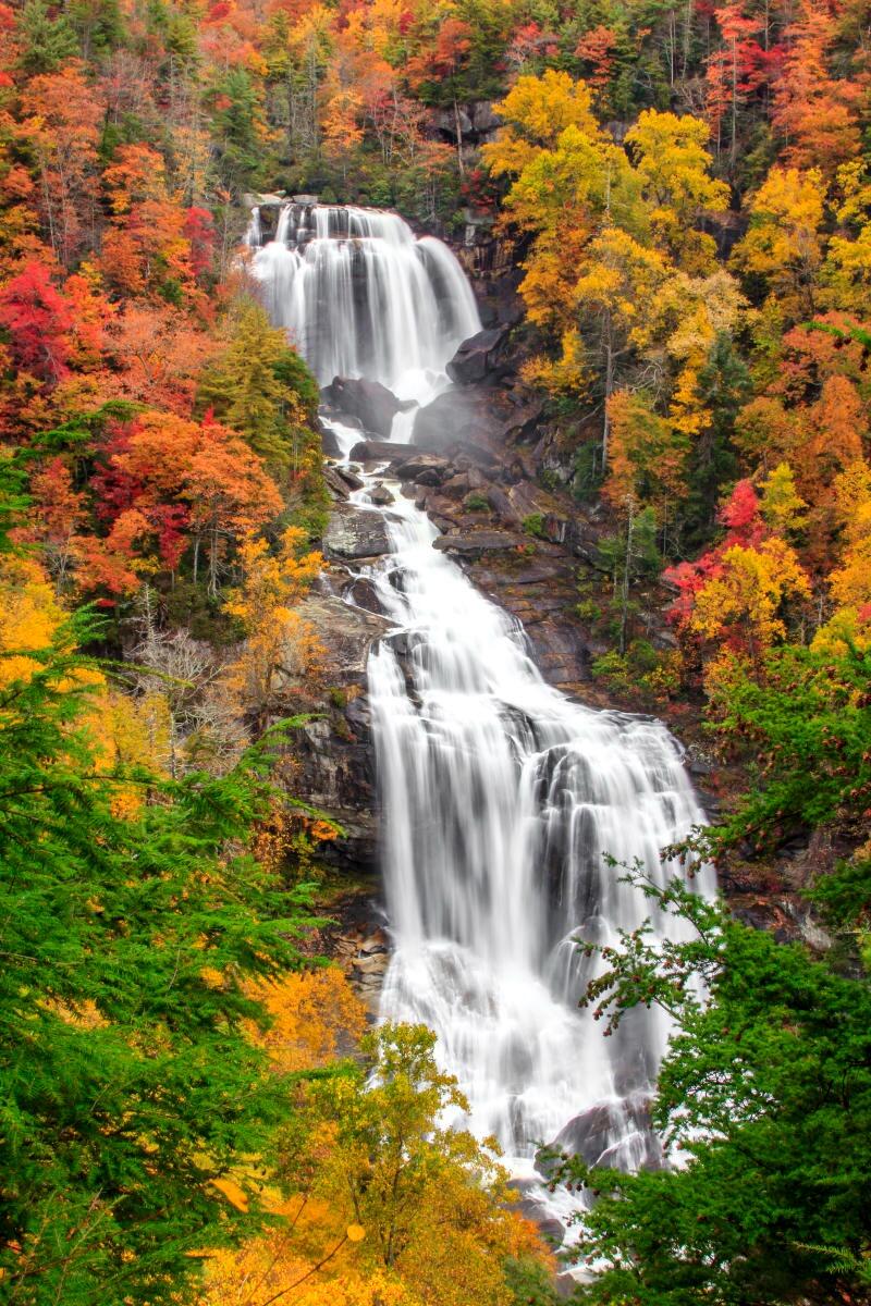Picture of Waterfall Hikes