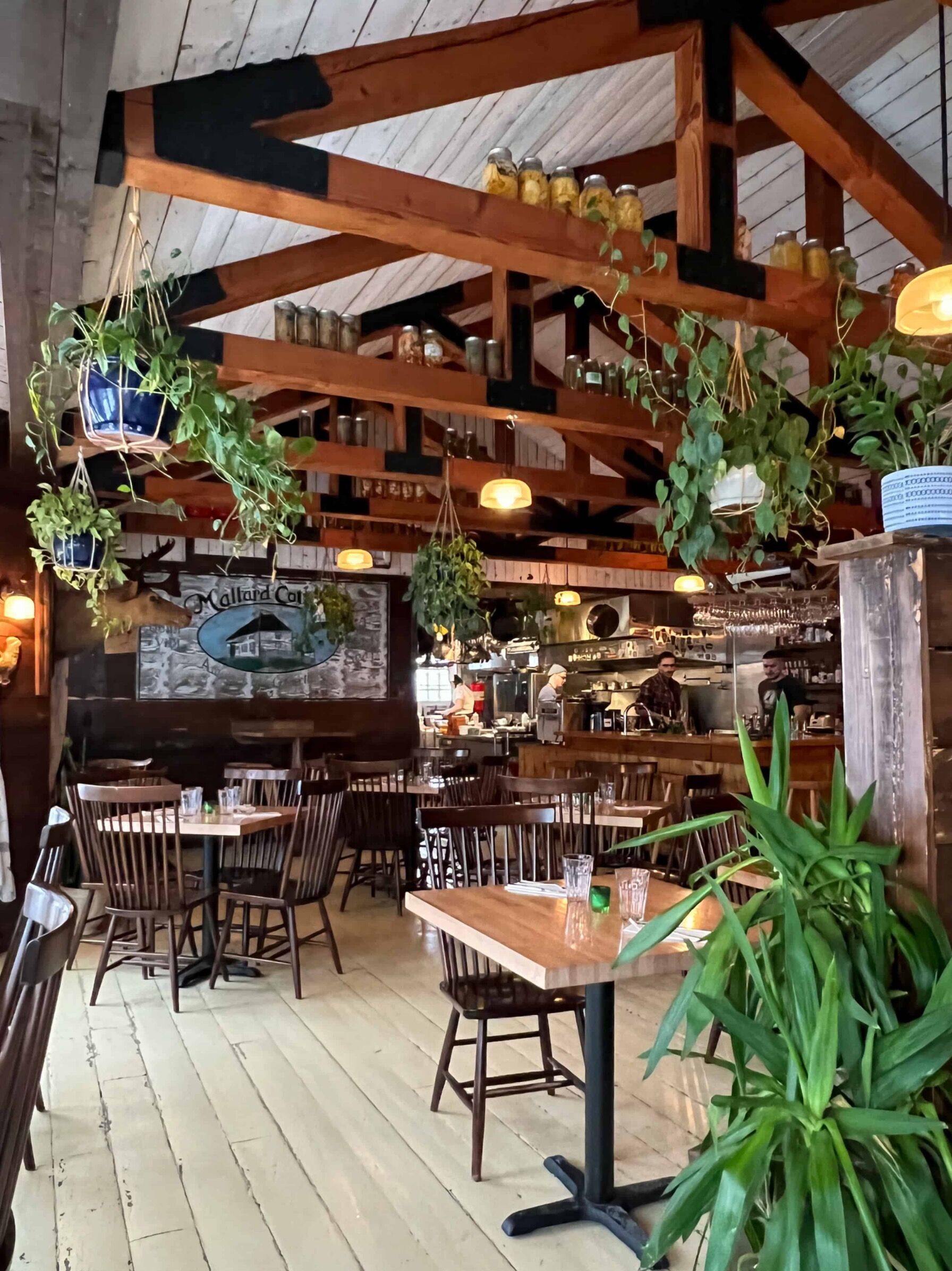 Picture of Mallard Cottage in Quidi Vidi Village