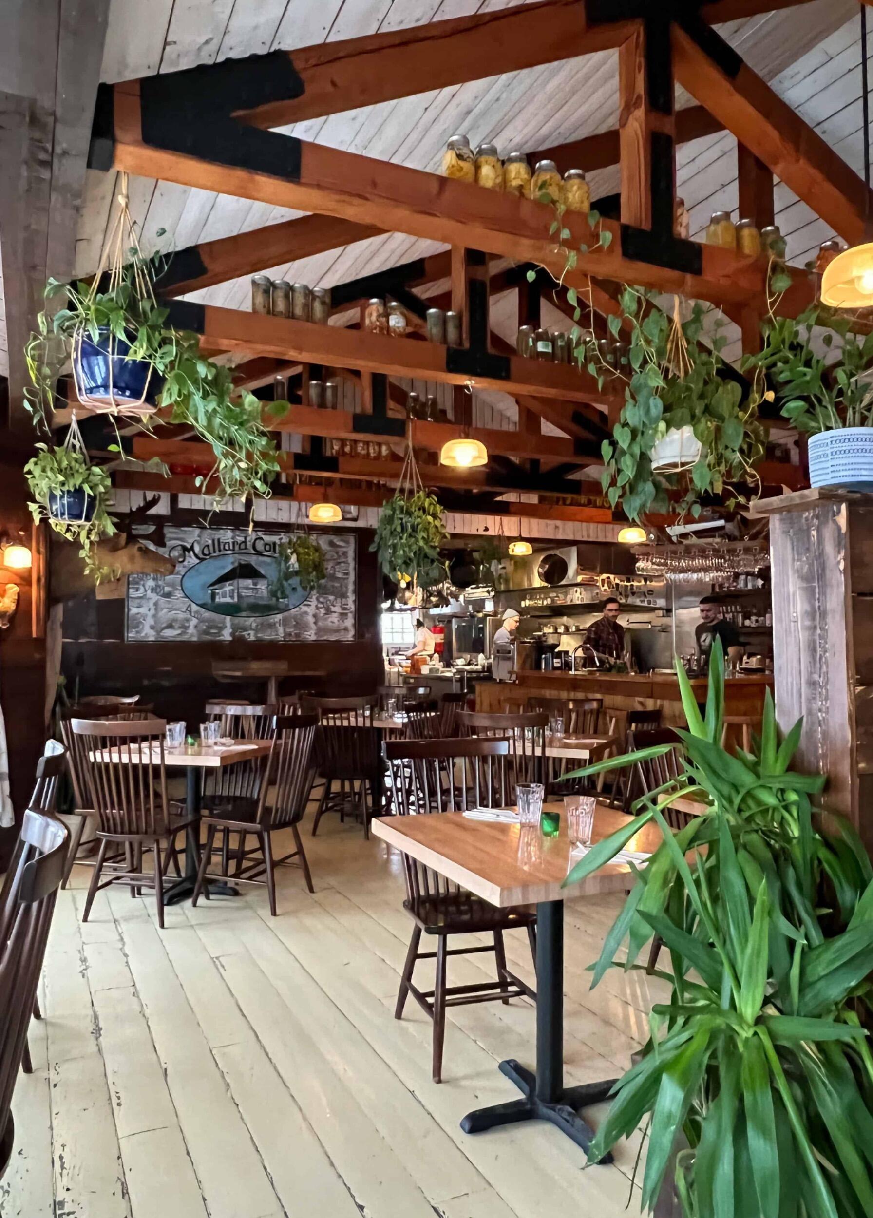 Picture of Mallard Cottage in Quidi Vidi Village