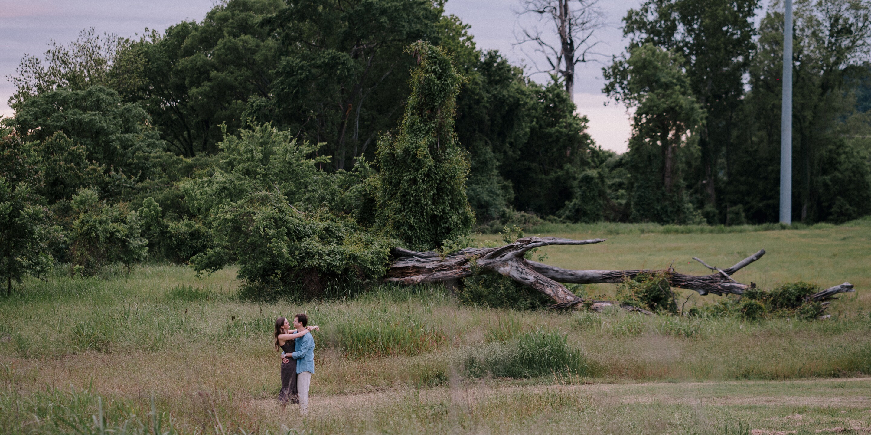 Evan & Ivy Home Page Banner