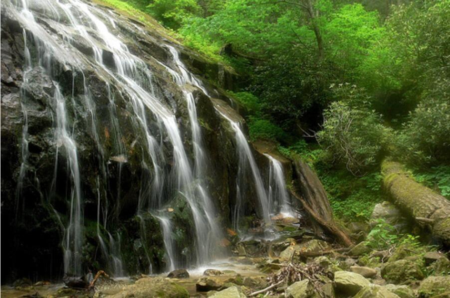 Picture of Glen Burney Falls Trail