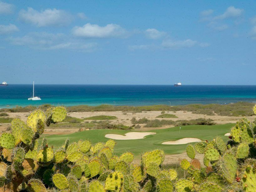 Picture of Golf
