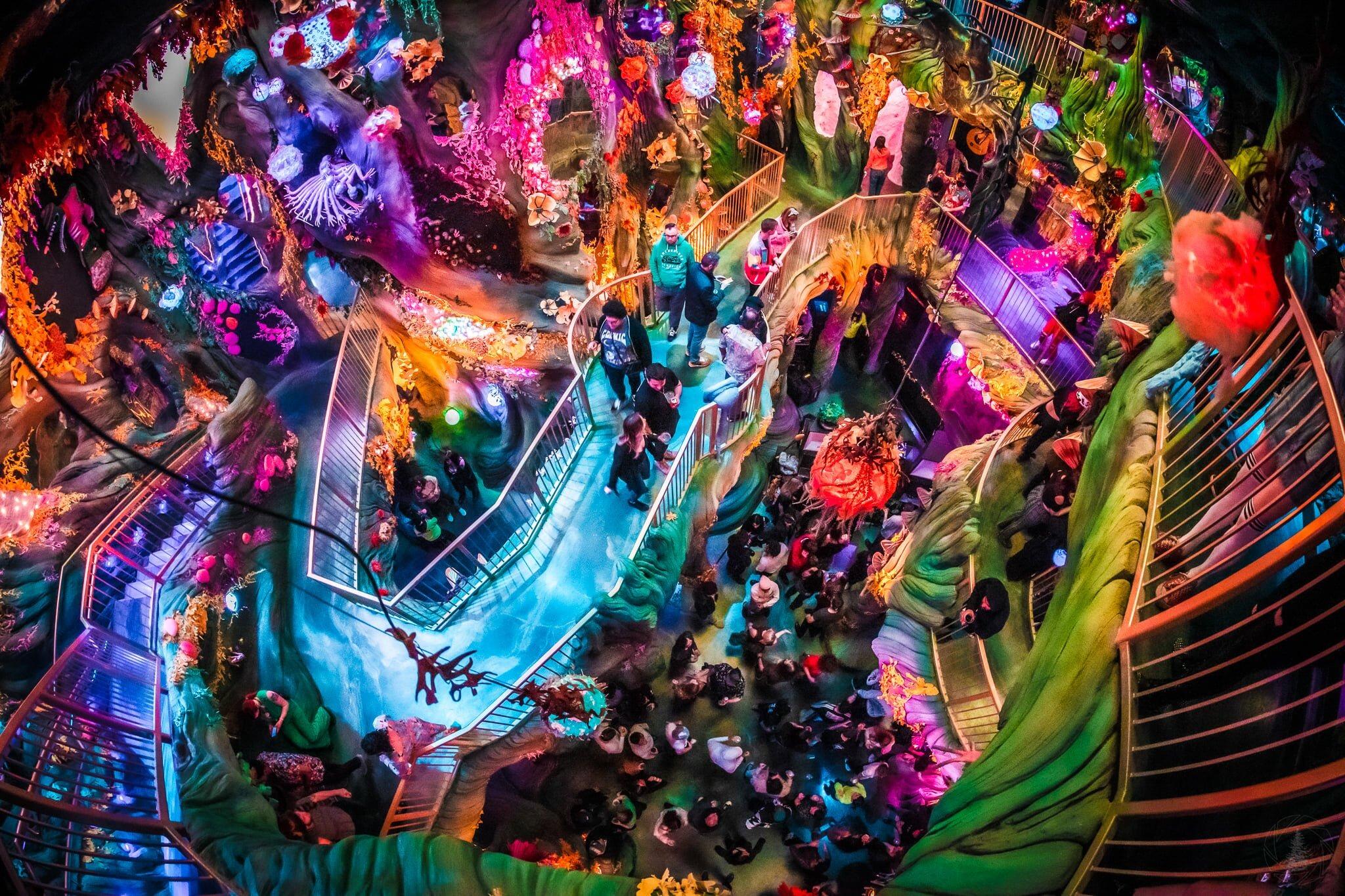 Picture of Meow Wolf 