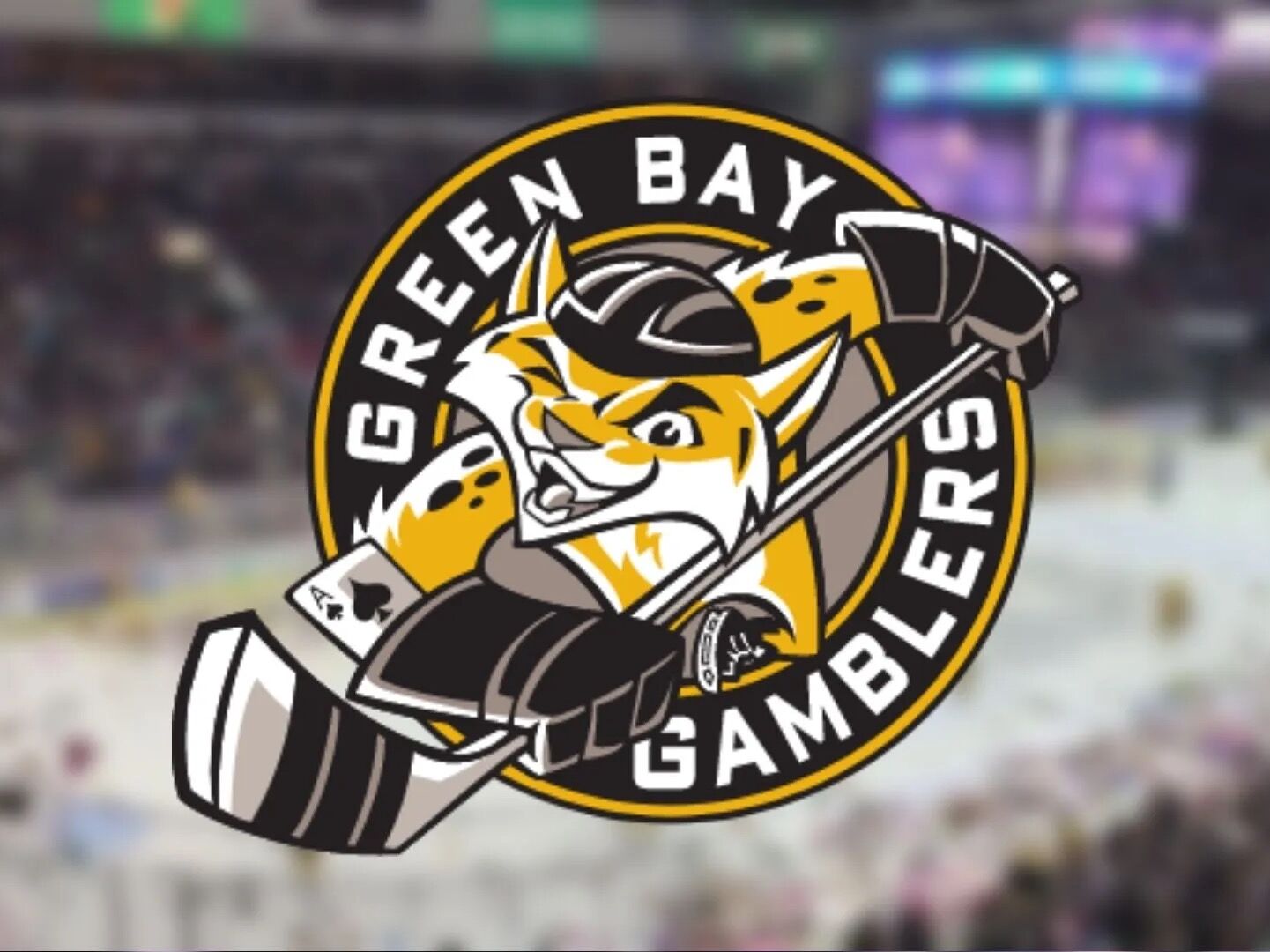 Picture of Green Bay Gamblers Hockey