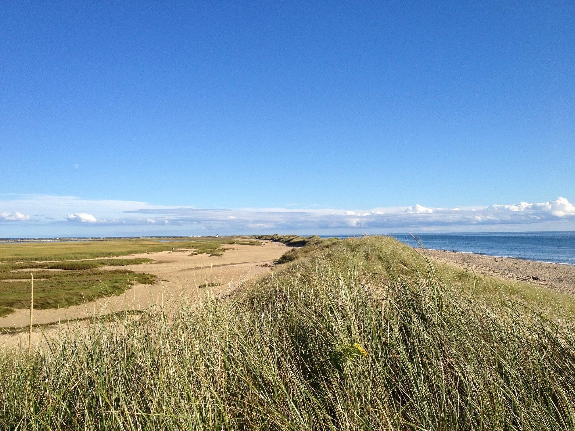 Picture of Herring Cove Beach