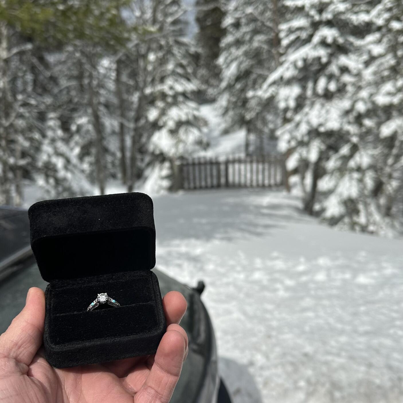 Picture of Our Engagement Story