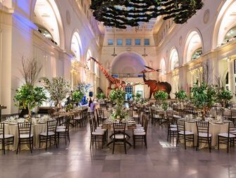 field museum wedding venue in Chicago, Illinois.