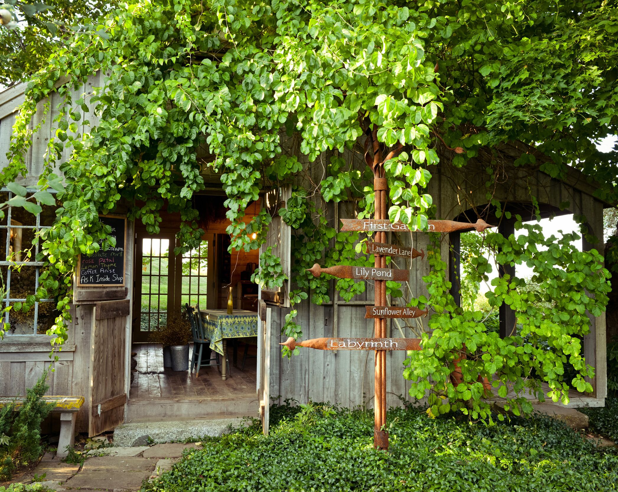 Picture of Tangled Garden