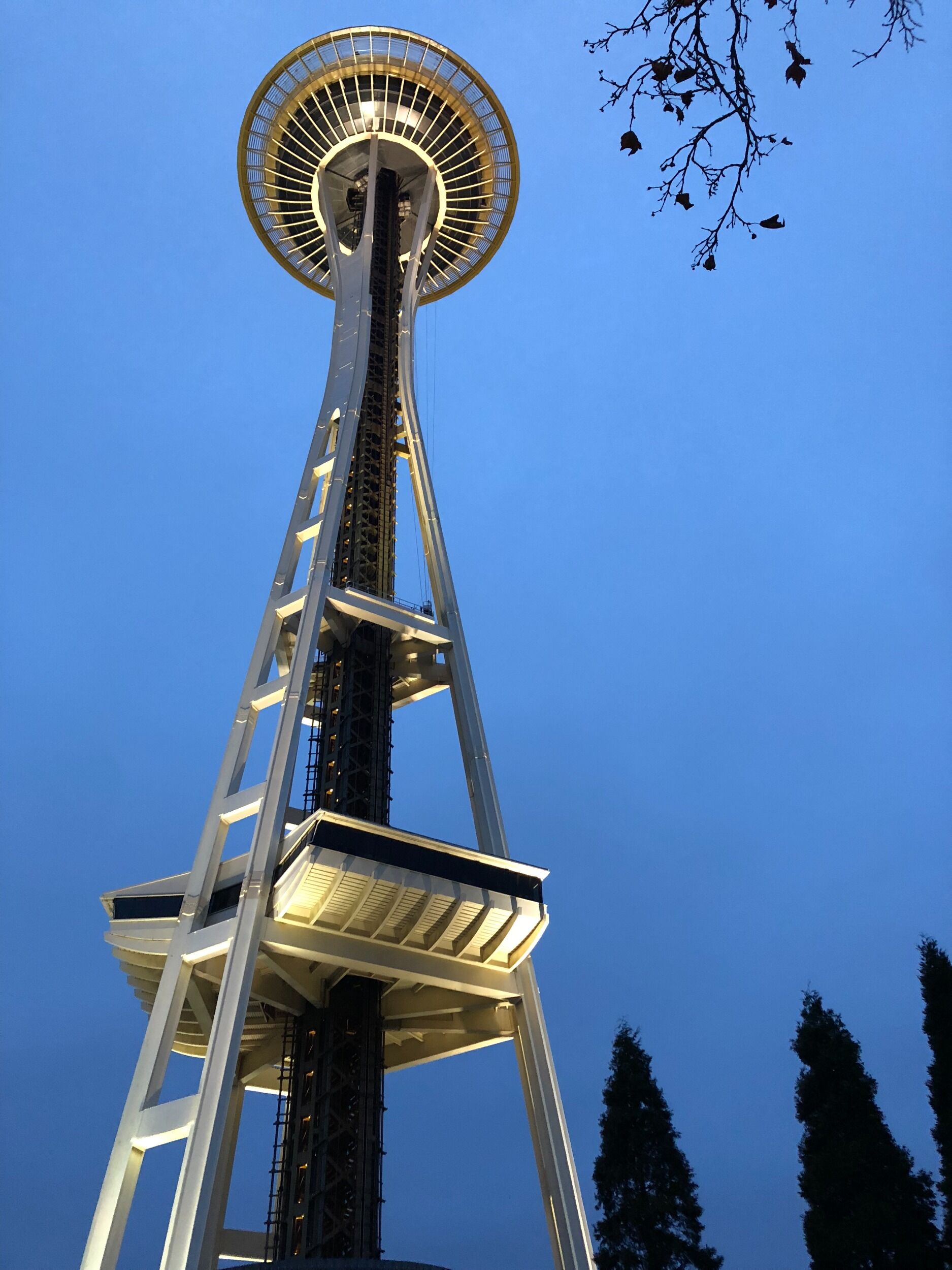 Picture of Space Needle