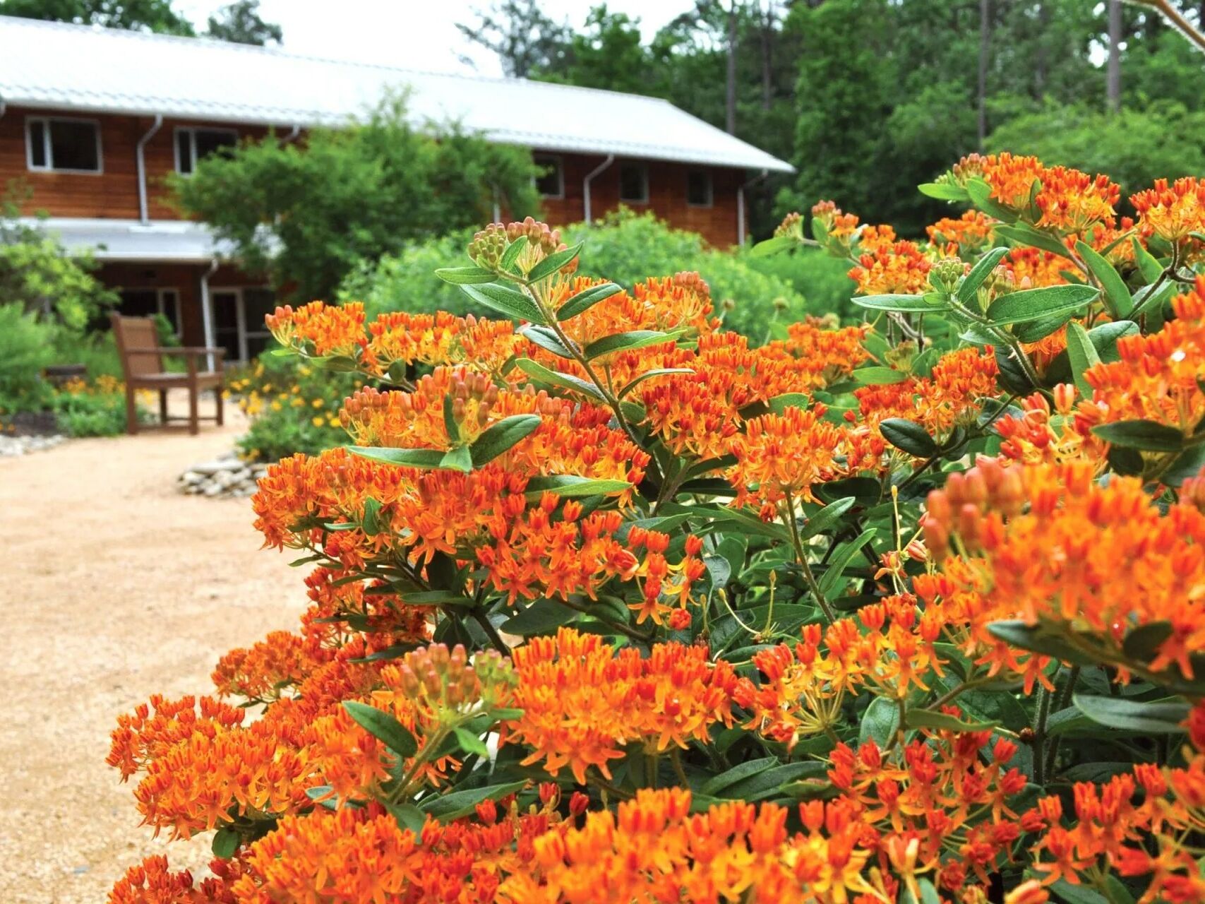 Picture of North Carolina Botanical Garden