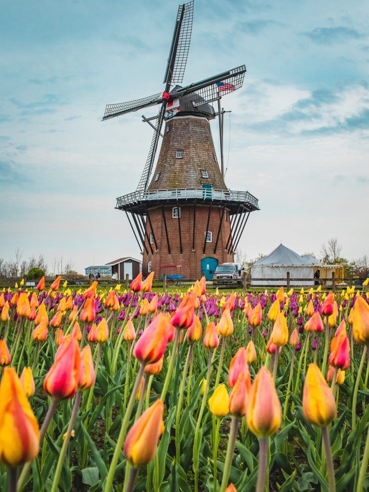 Picture of Windmill Island Gardens
