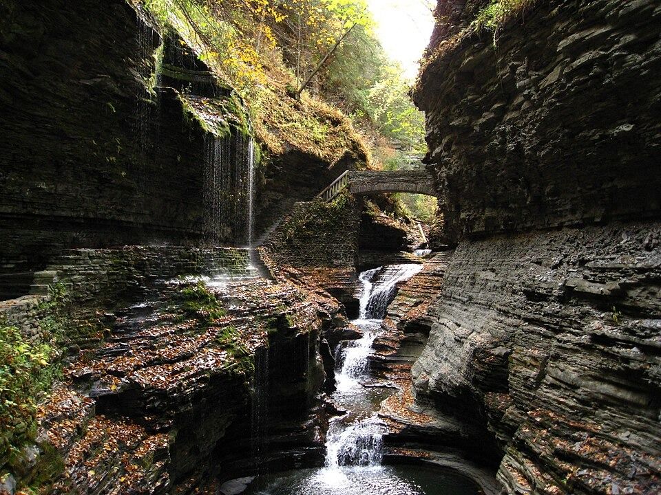 Picture of Watkins Glen State Park