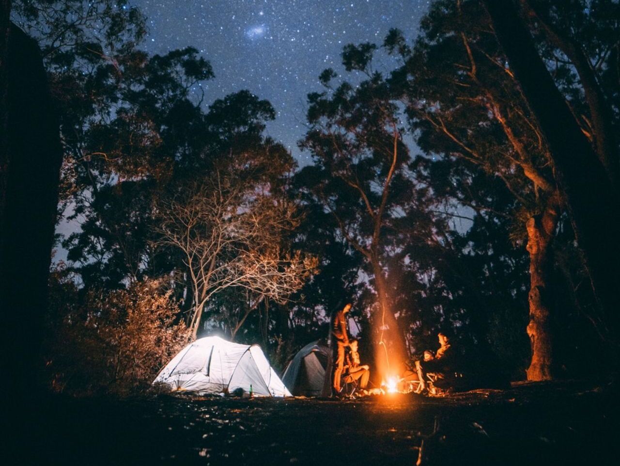 Picture of Camp-Out!