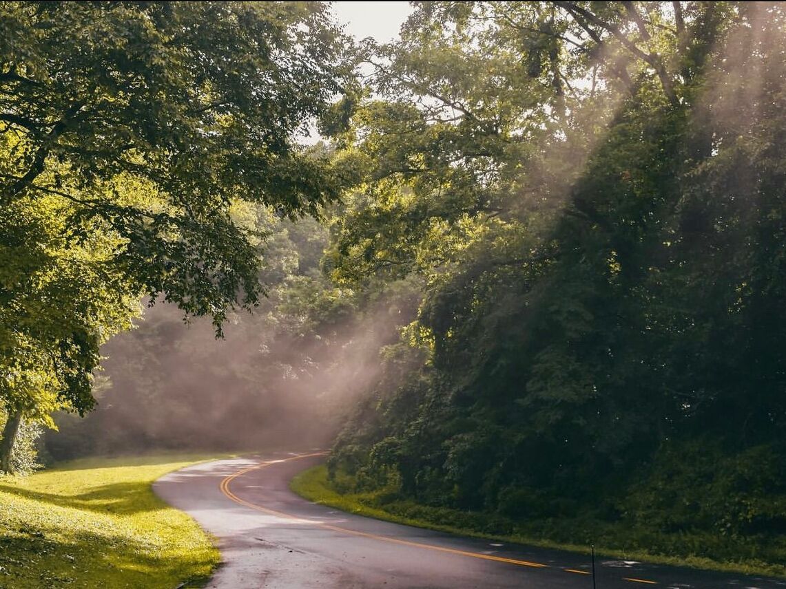 Picture of Take a Scenic Drive Along the Famous Blue Ridge Parkway