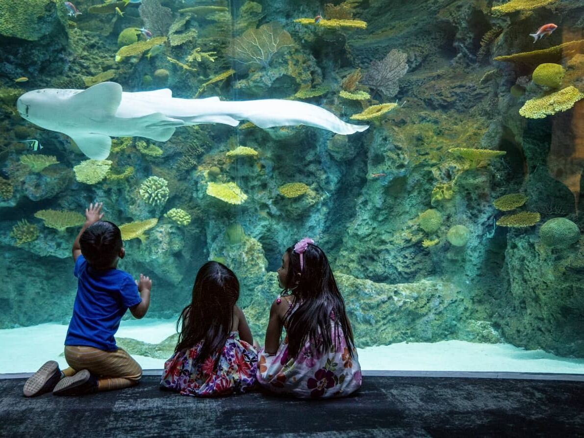 Picture of Seattle Aquarium