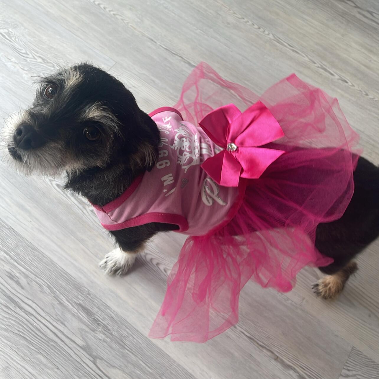 Sunday Montgomery (Flower Girl)